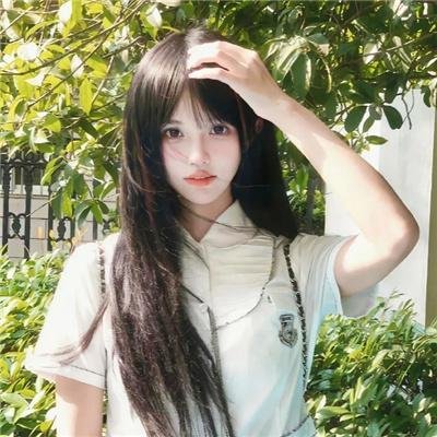 穿越橄榄树林